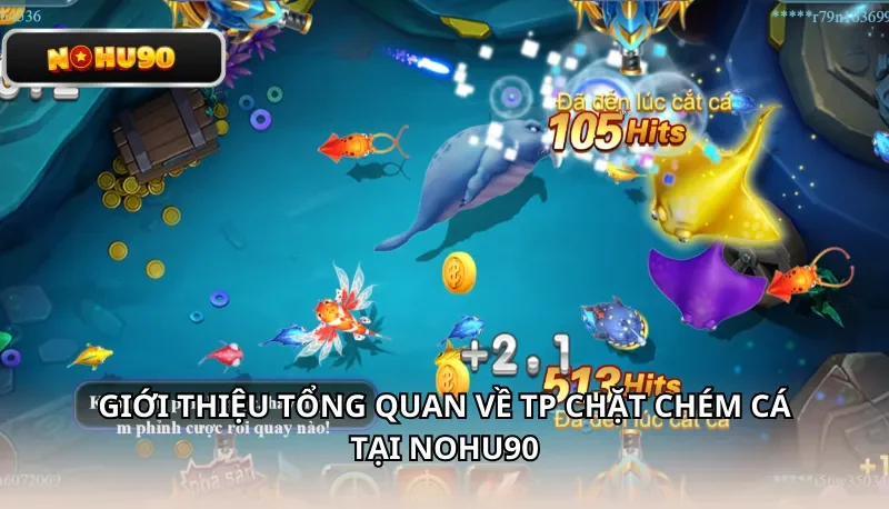 Giới thiệu tổng quan về TP Chặt Chém Cá tại Nohu90