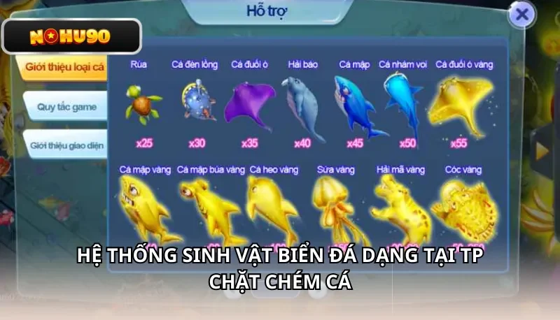 Hệ thống sinh vật biển đá dạng tại TP Chặt Chém Cá