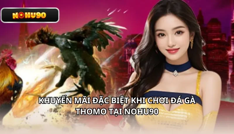 Khuyến mãi đặc biệt khi chơi Đá Gà Thomo tại Nohu90