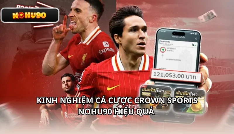 Kinh nghiệm cá cược Crown Sports Nohu90 hiệu quả