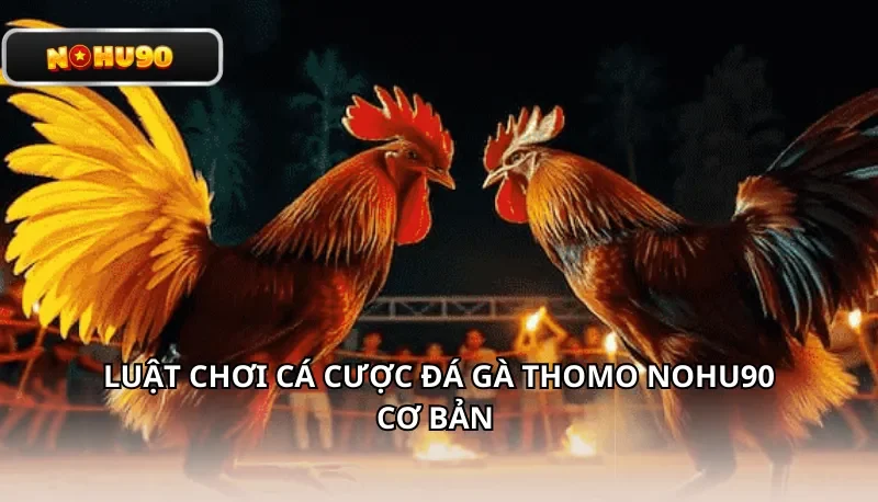 Luật chơi cá cược đá gà Thomo Nohu90 cơ bản