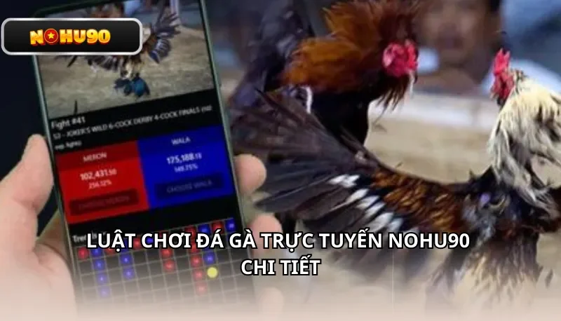 Luật chơi đá gà trực tuyến Nohu90 chi tiết