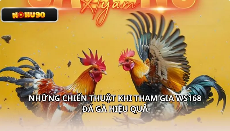 Những chiến thuật khi tham gia WS168 đá gà hiệu quả