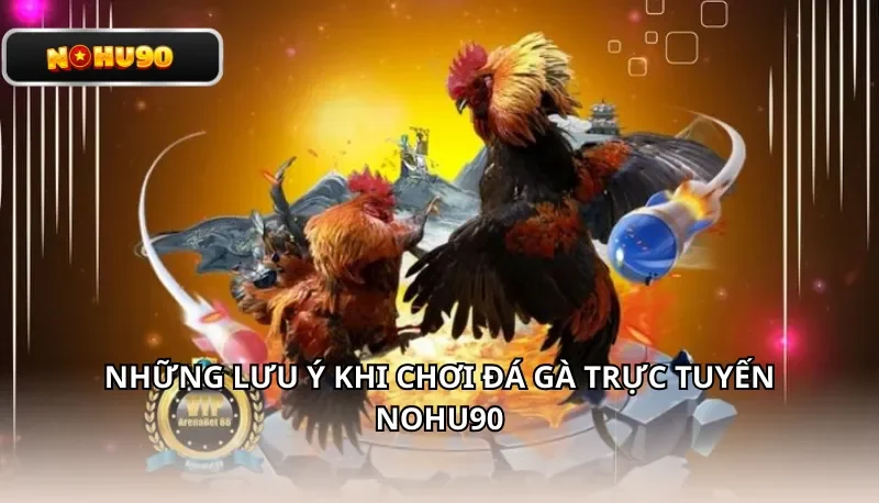 Những lưu ý khi chơi đá gà trực tuyến Nohu90
