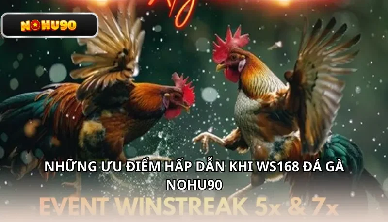 Những ưu điểm hấp dẫn khi WS168 đá gà Nohu90