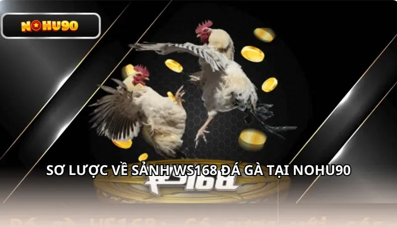 Sơ lược về sảnh WS168 đá gà tại Nohu90