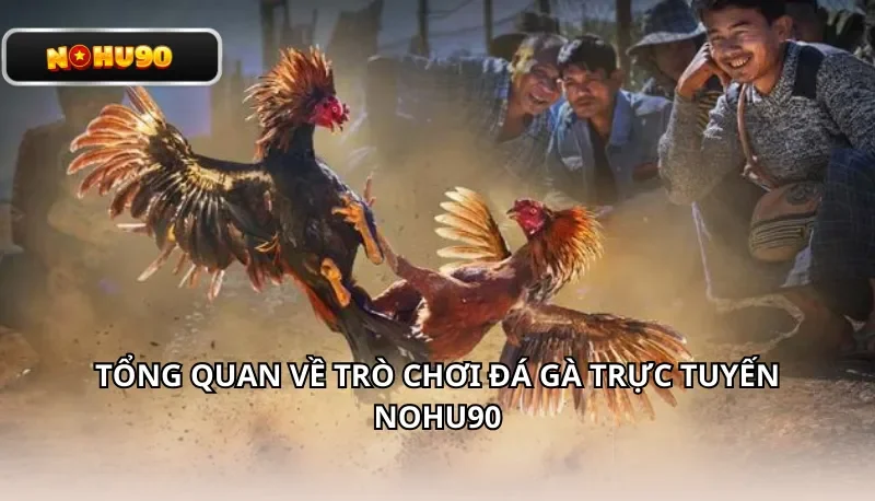 Tổng quan về trò chơi đá gà trực tuyến Nohu90